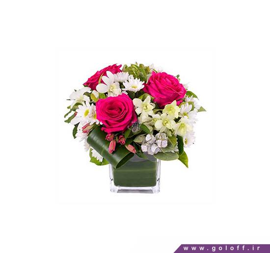 عکس جعبه گل - جعبه گل درین - Dorin | گل آف
